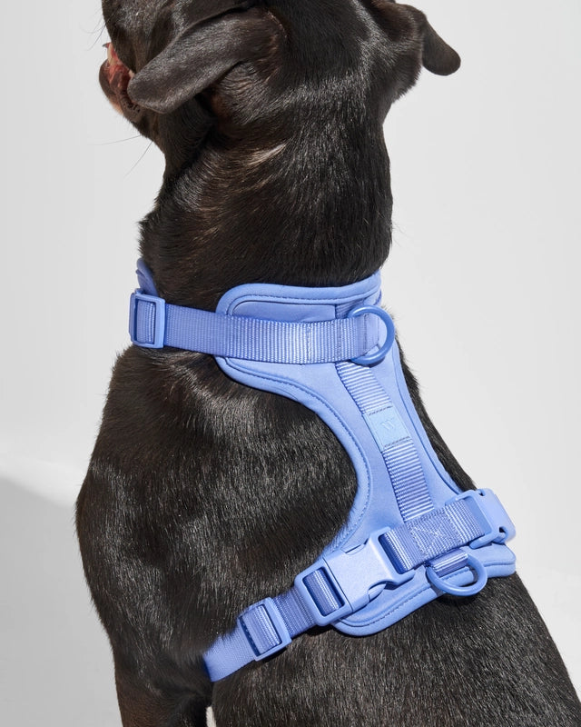 Wild One Adjustable Comfort Dog Harness – Peanut's Pet Carriers