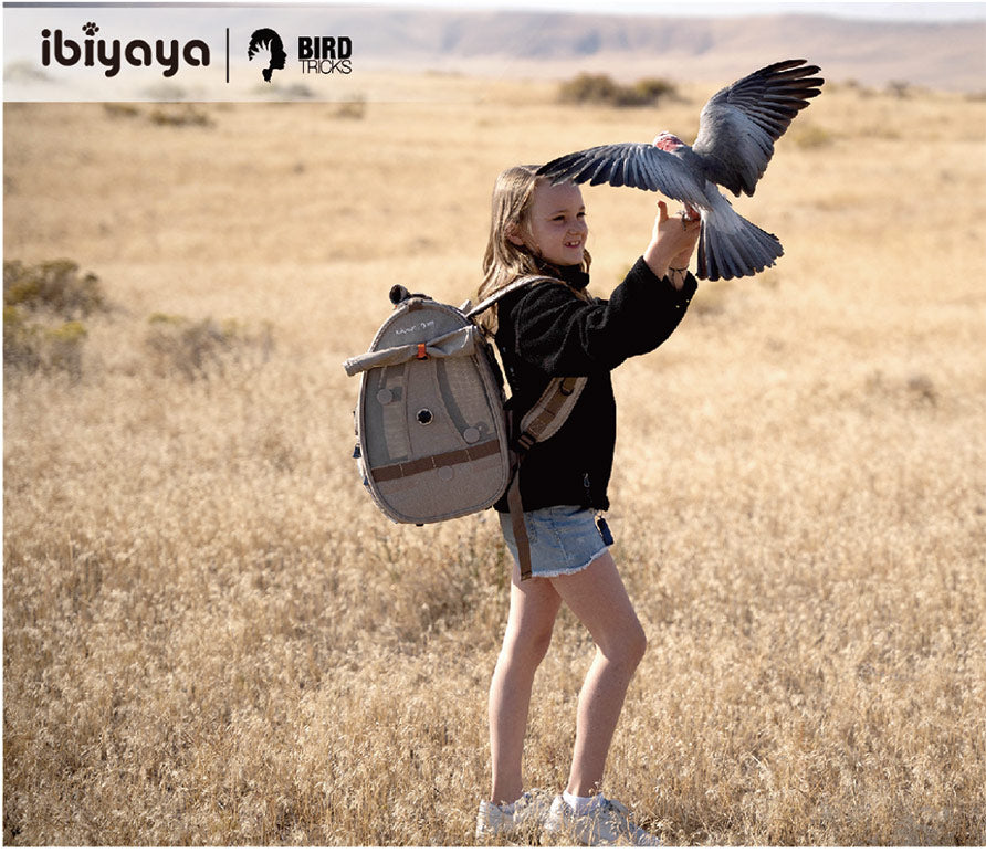 patagonia bird backpack Ibiyaya TrackPack for Birds