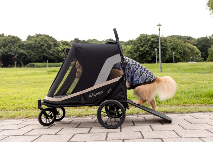 dog stroller with ramp Grand Cruiser Portable Dog Ramp & Mud Shield