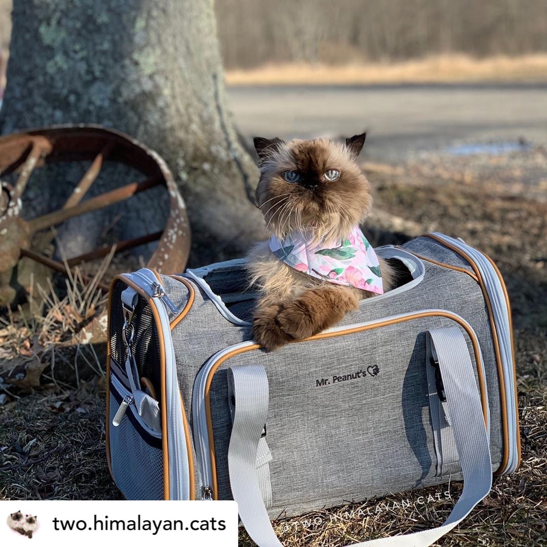 Mr Peanut Pet Carrier Coupons & Promo Codes – September 2026