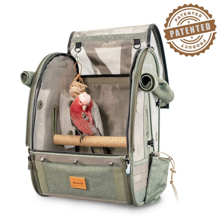 backpack for bird travel Ibiyaya Medium Size TrackPack, Backpack Bird Travel Carrier with Perch – Mr. Peanut's Pet Carriers