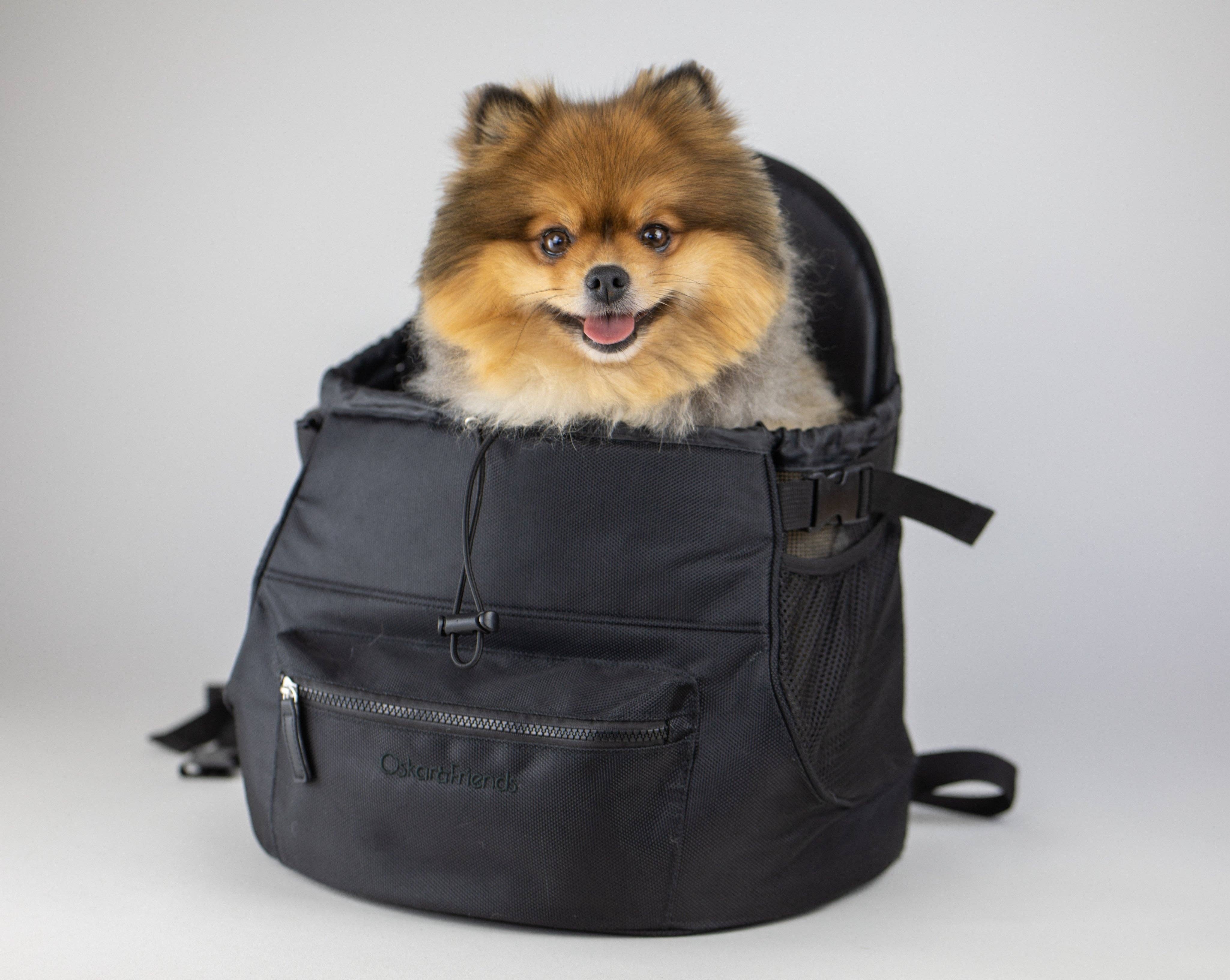 best dog traveling backpack Oskar & Friends Premium Pet Backpack – Secure, Stylish, Travel-Ready