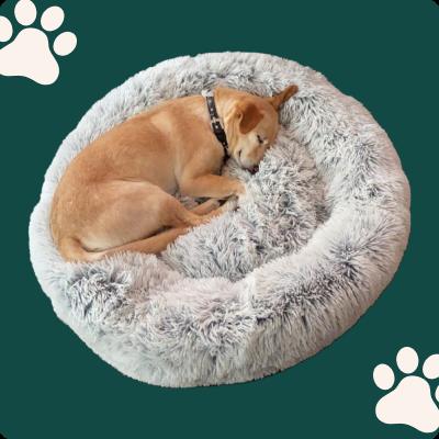 A dog sleeping in a fluffy round bed with paw prints on the background.