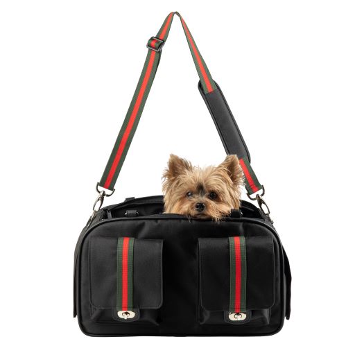 Small dog peeks out of a black bag with red and green striped straps.