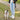 Biothane Waterproof Traffic Lead for Dogs, 2 ft