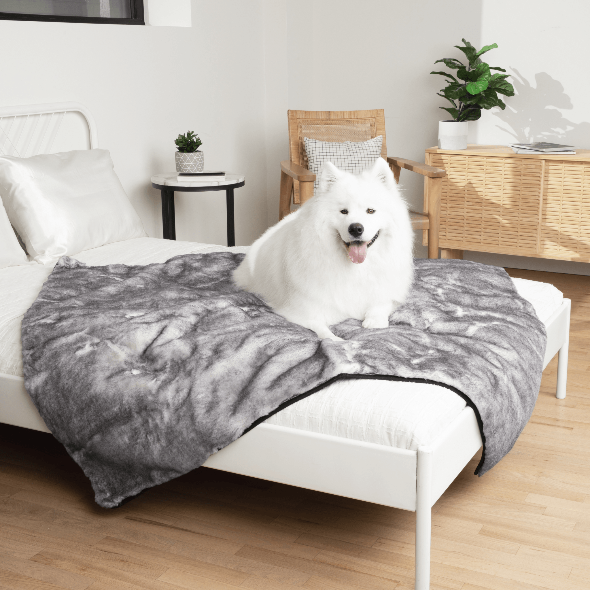 PupProtector™ Luxe Waterproof Faux Fur Blanket - Ultra Soft Chinchilla