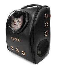 Cat inside a black pet carrier with a transparent window.