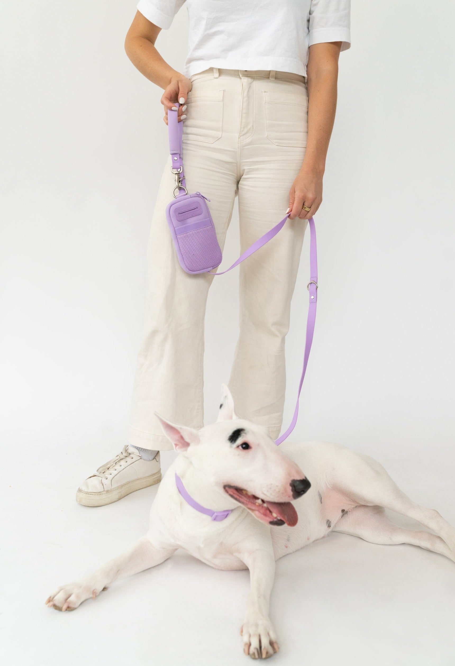 Springer Walk Bag + Dog Leash