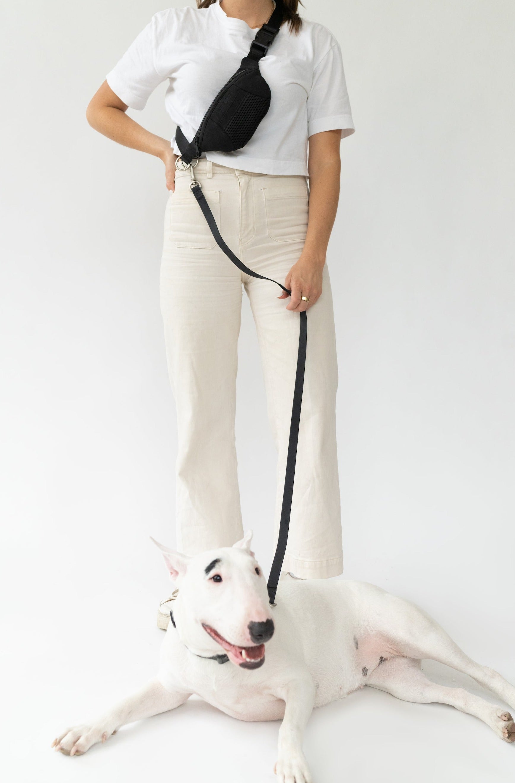 Springer Sling Bag + Dog Leash