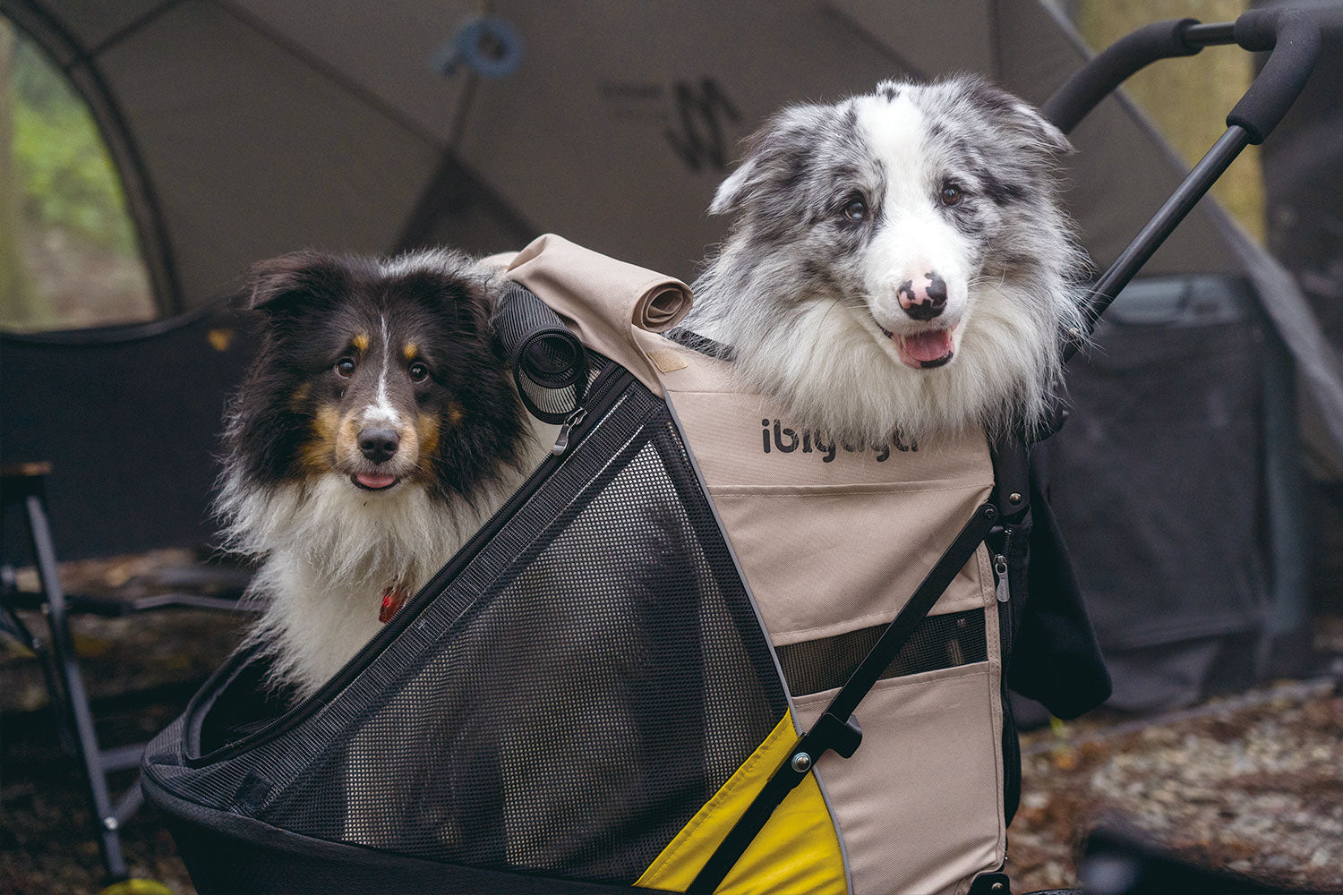 zebra print dog stroller Ibiyaya Minika 3-in-1 Pet Stroller System with Foldable Dog Bicycle Tr – Mr. Peanut's Pet Carriers