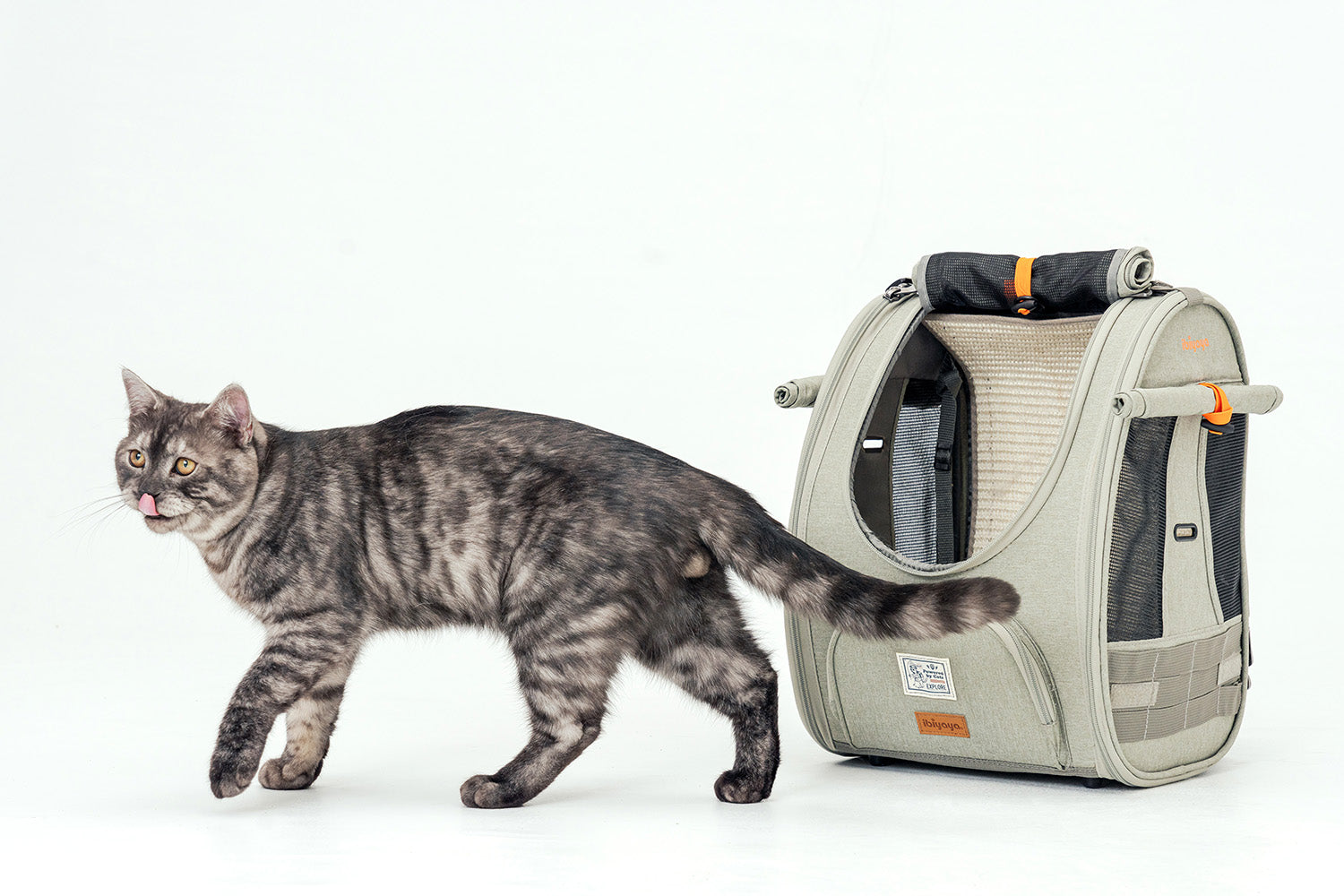 Pet Bag For Cat Dog Bunny Car Backpack Carrier Handbag Travel