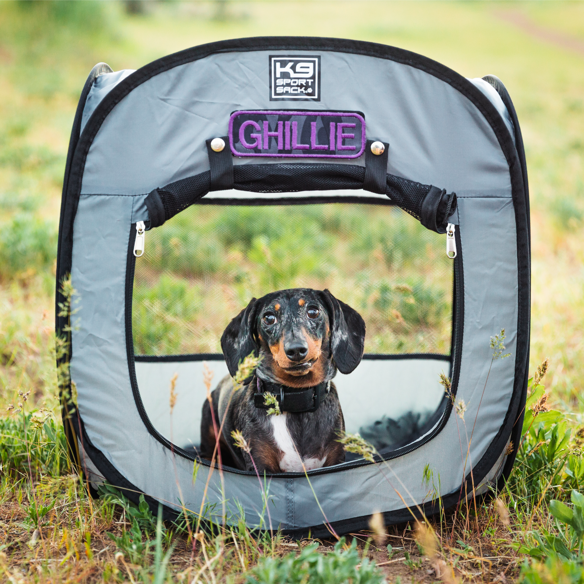 K9 Kennel Pop-Up Dog Tent Playpen/Portable Pet House