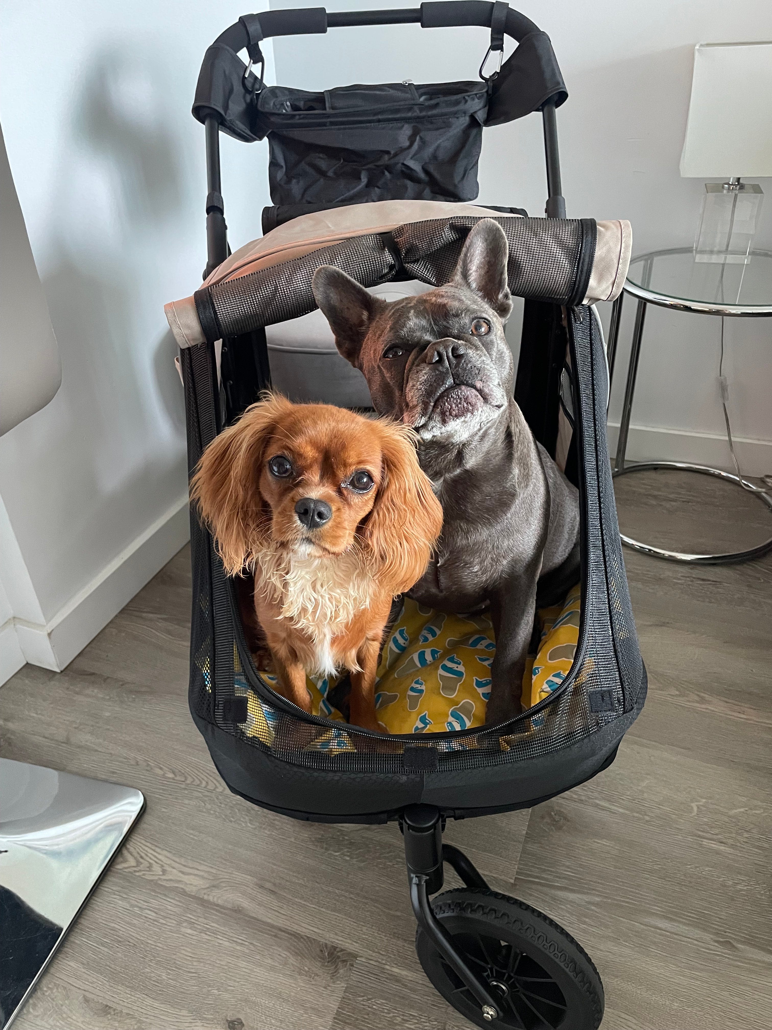 ireenuo dog stroller Ibiyaya Minika 3-in-1 Pet Stroller System with Foldable Dog Bicycle Tr – Mr. Peanut's Pet Carriers