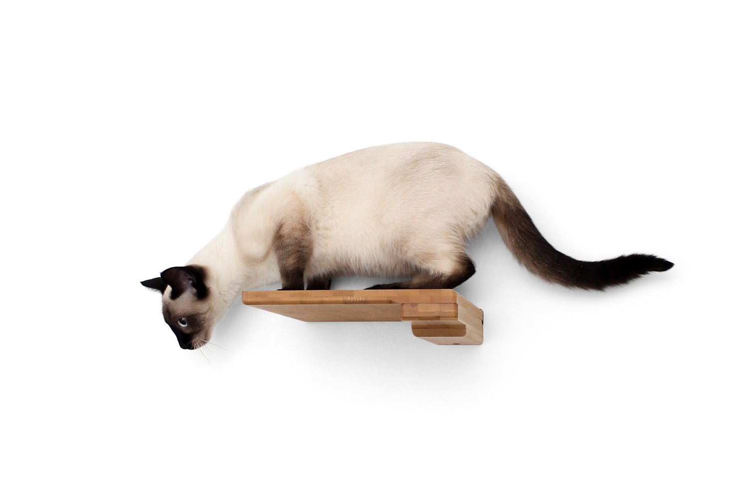 Catastrophic Creations Cat Climbing Shelf