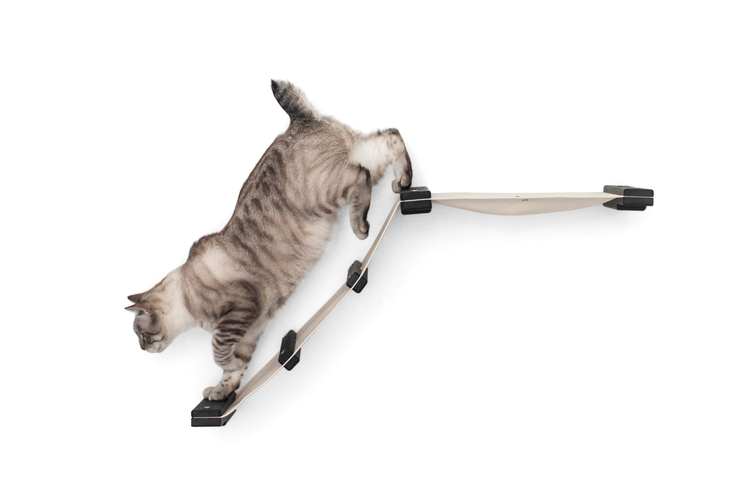 The Lift - Cat Hammock Bed by Catastrophic Creations