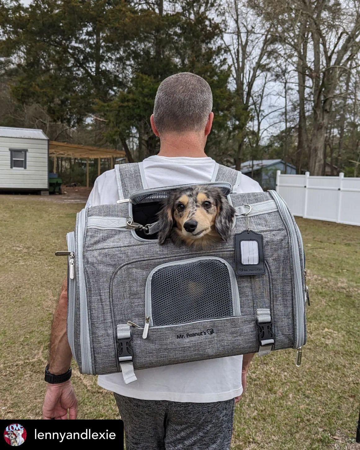 Man in backyard carrying dog in a backpack carrier.