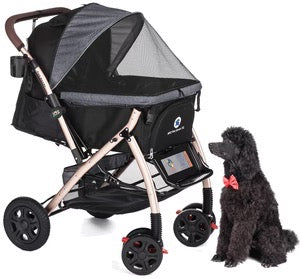 Black poodle in red bow tie sitting beside a pet stroller.