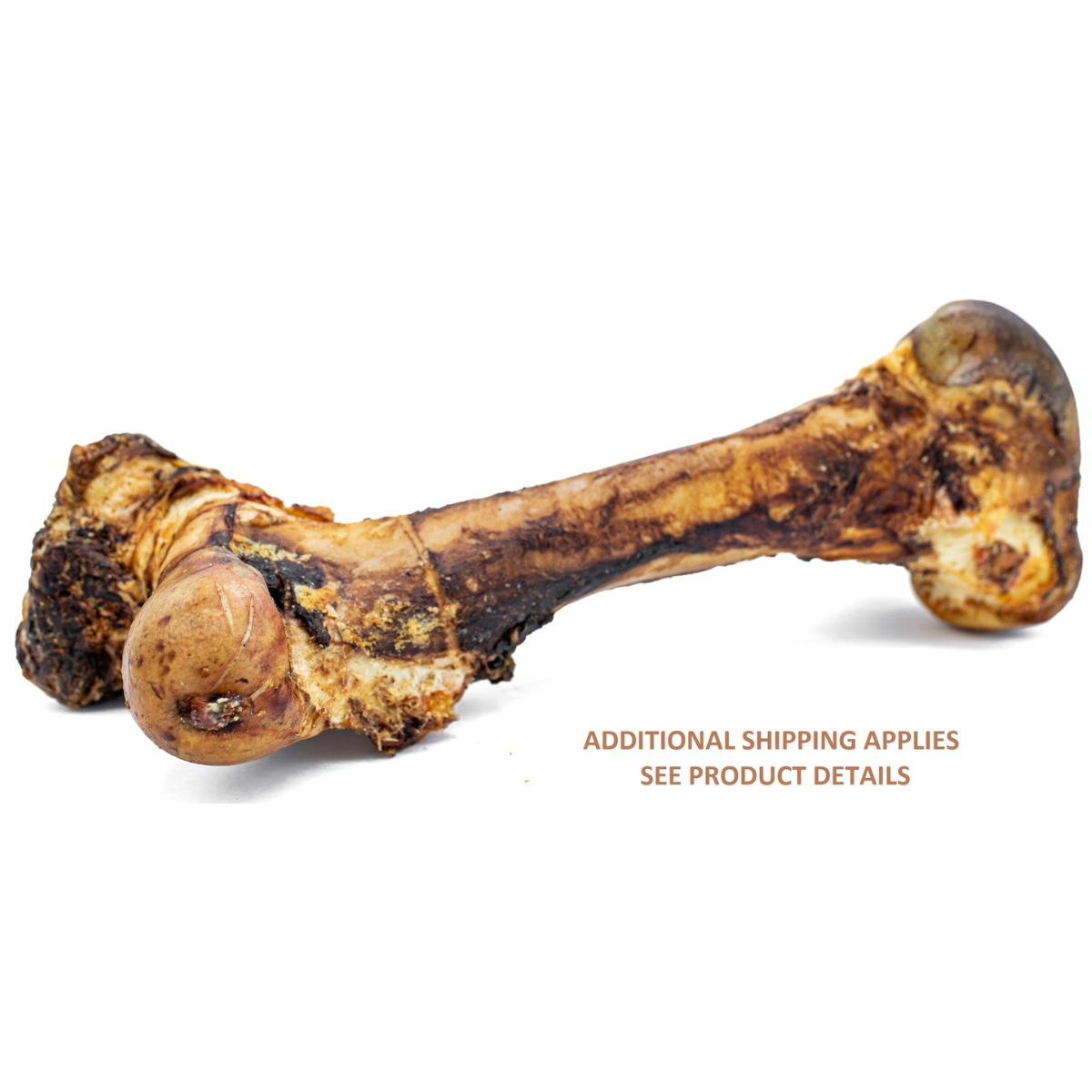 Bully Bunches Monster Femur Bone