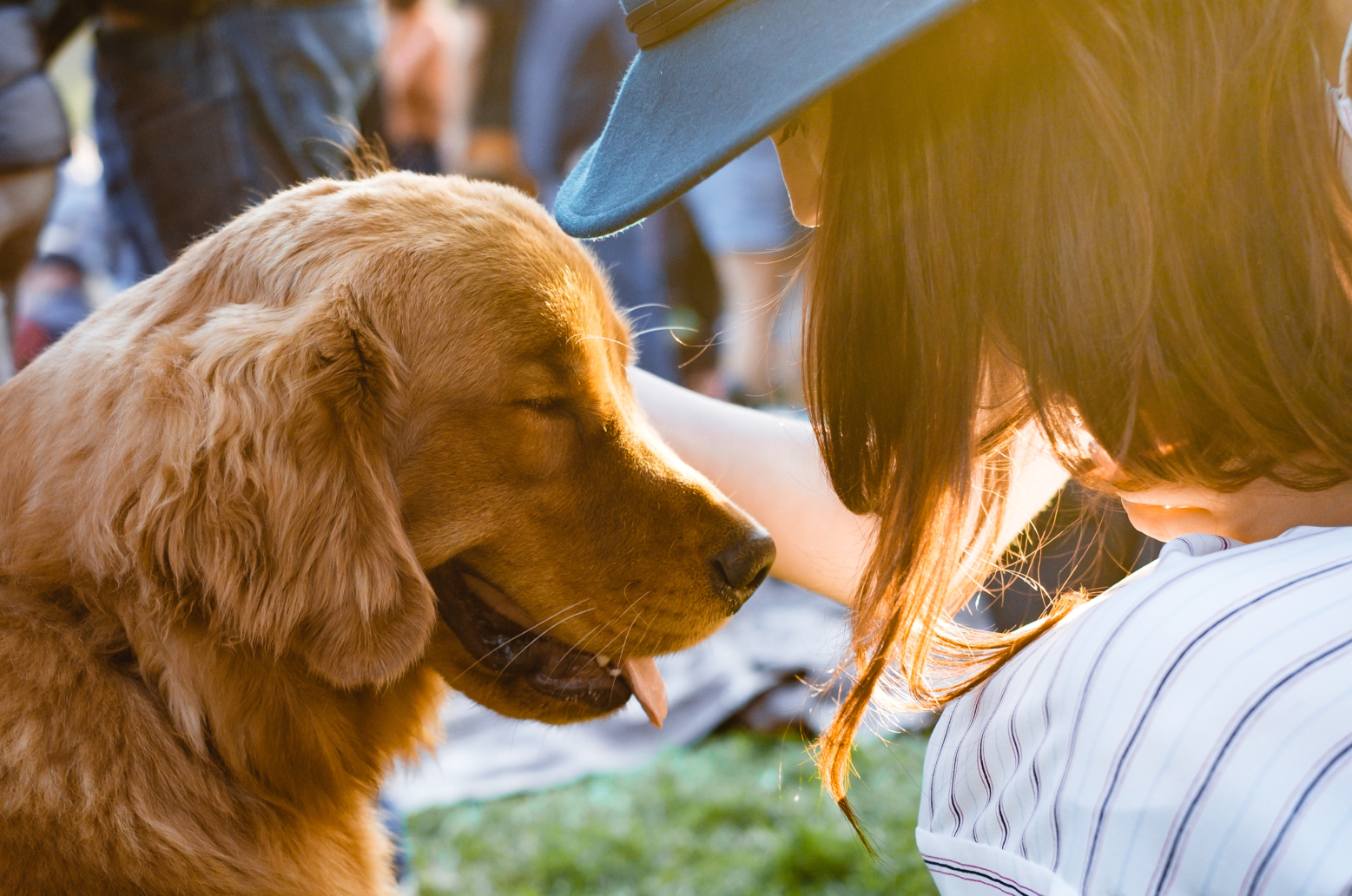 Woman in hat petting a golden retriever in sunlight.