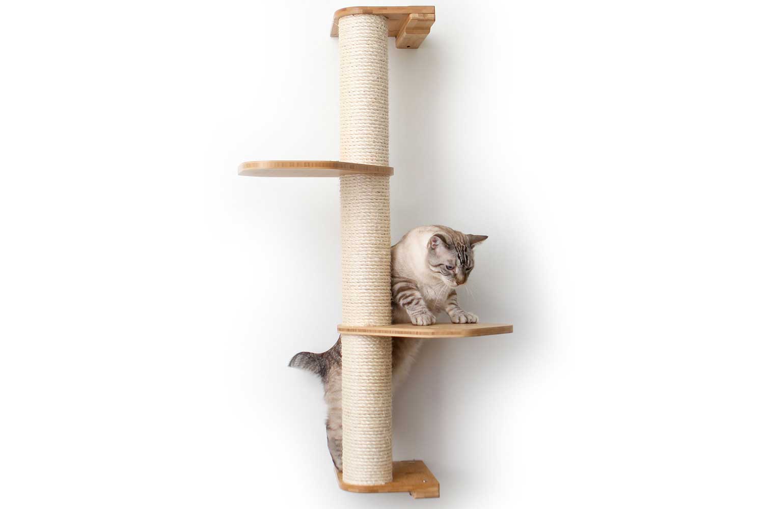 Catastrophic Creations Wall Mounted Cat Climbing Pole - Sisal