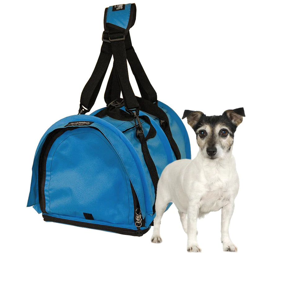 Small dog standing next to a blue pet carrier bag.