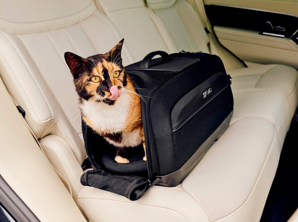 Tavo Pets Dupree Airline Carry-On Pet Car Seat - Please Note Shipping Time Frame in Description