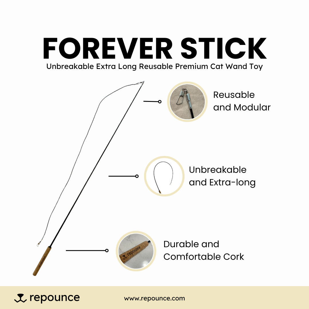 Repounce Forever Stick - The Unbreakable Cat Wand