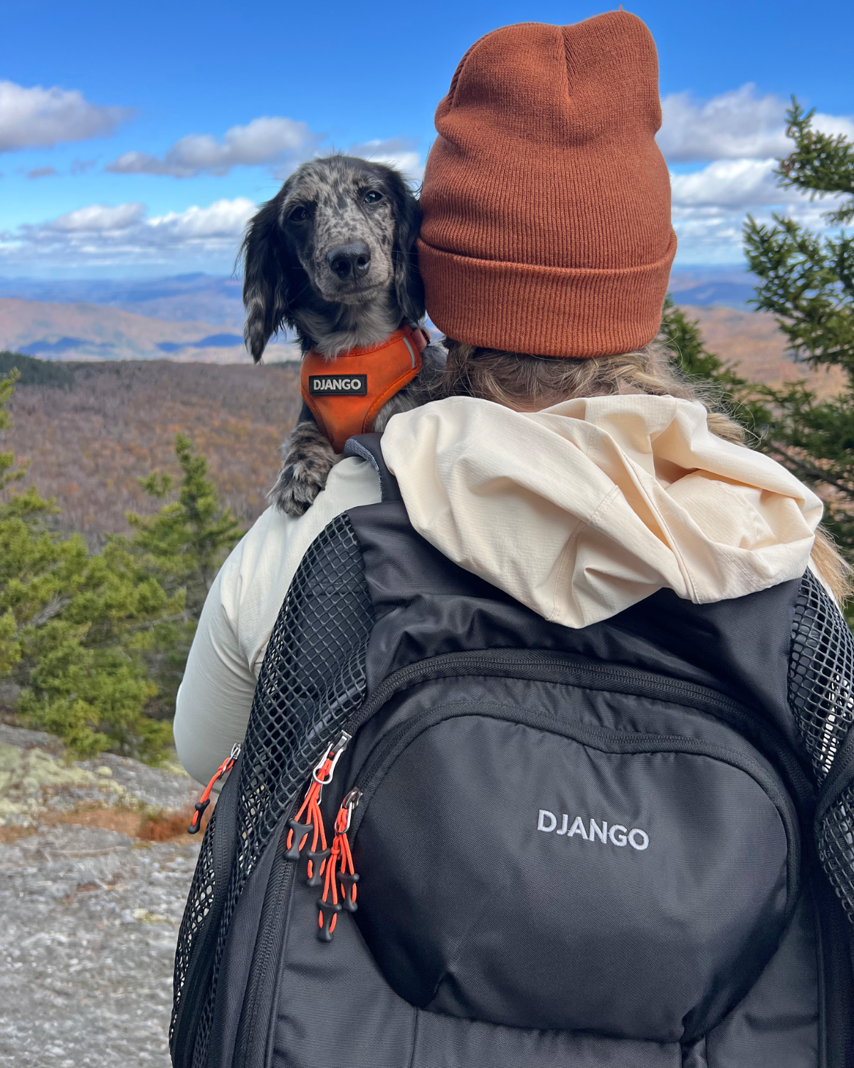 DJANGO - DjangoPack™ Dog Carrier Backpack