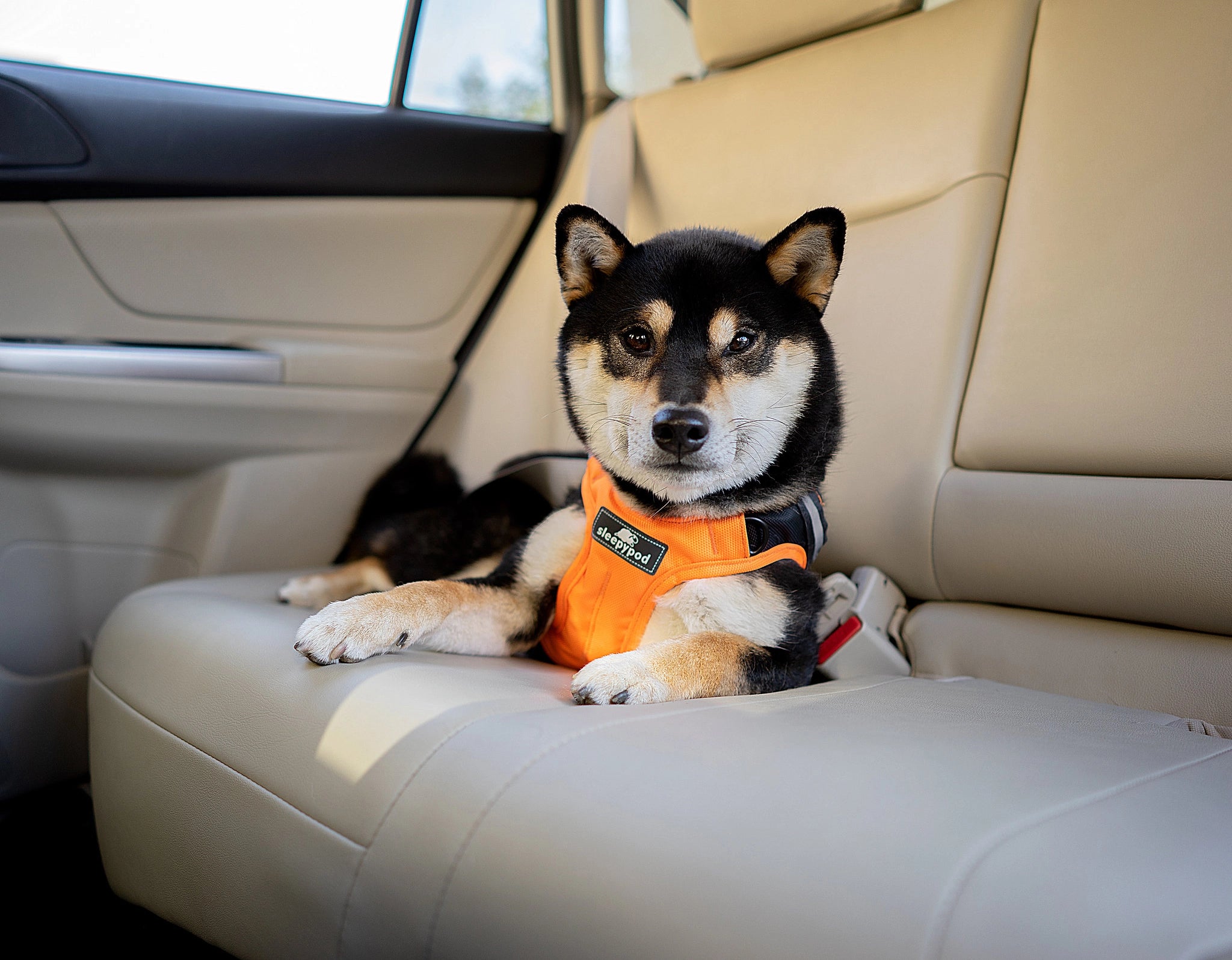 Clickit terrain hot sale