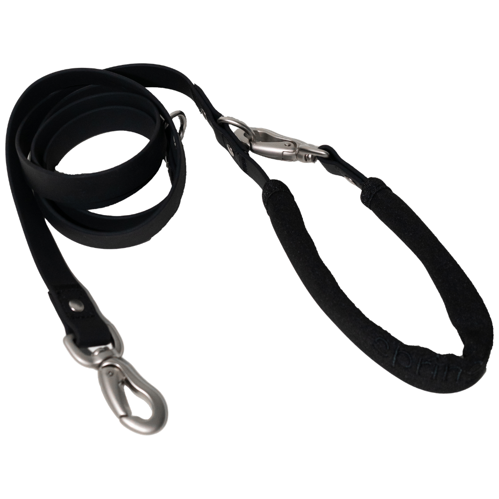 Springer Dog Leash