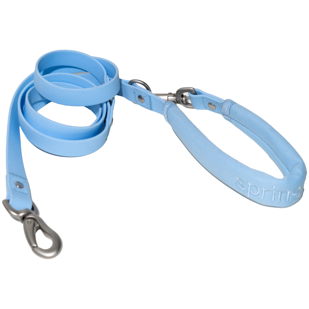 Springer Dog Leash