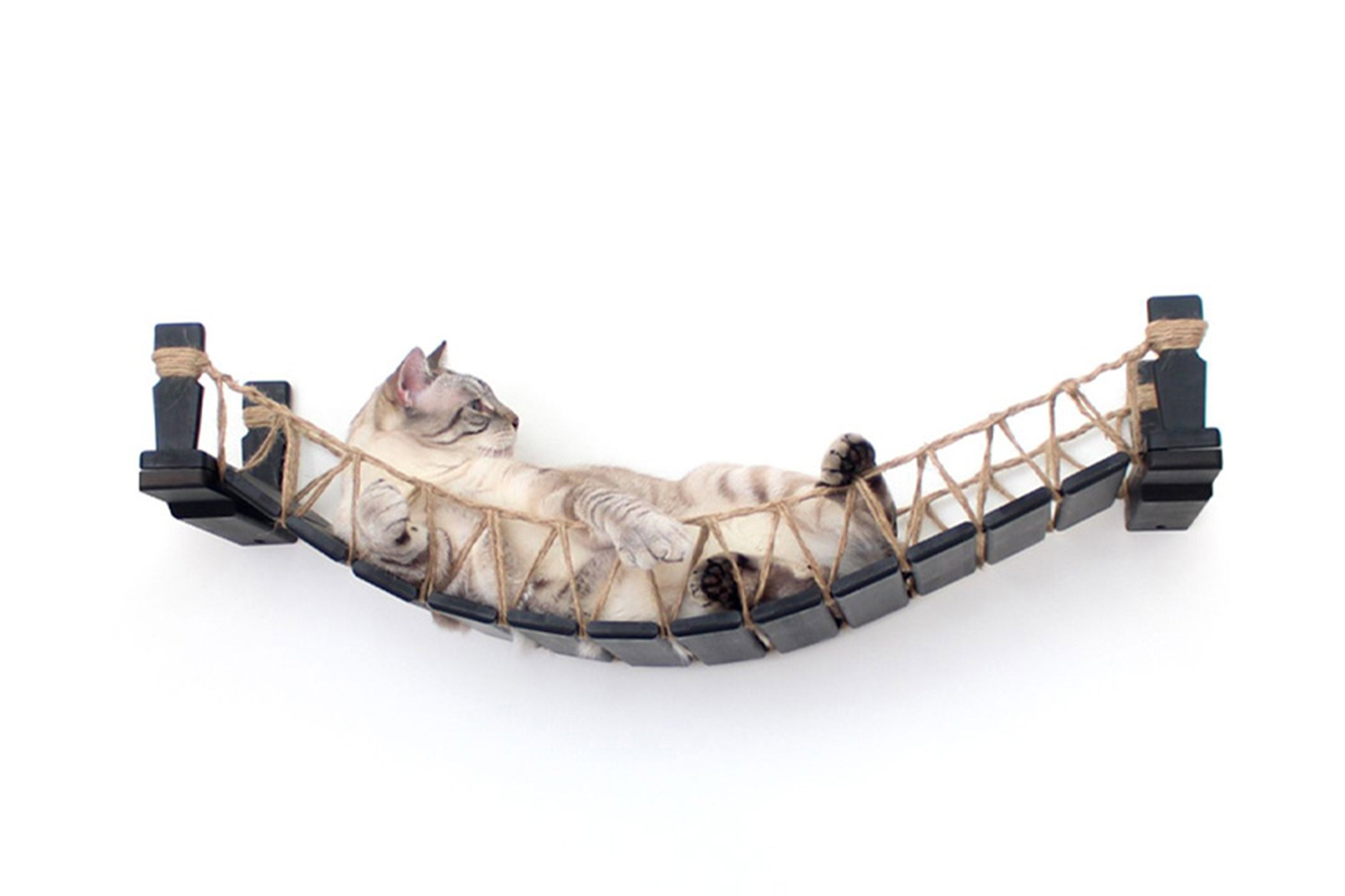 Catastrophic Creations Cat Bridge for Wall