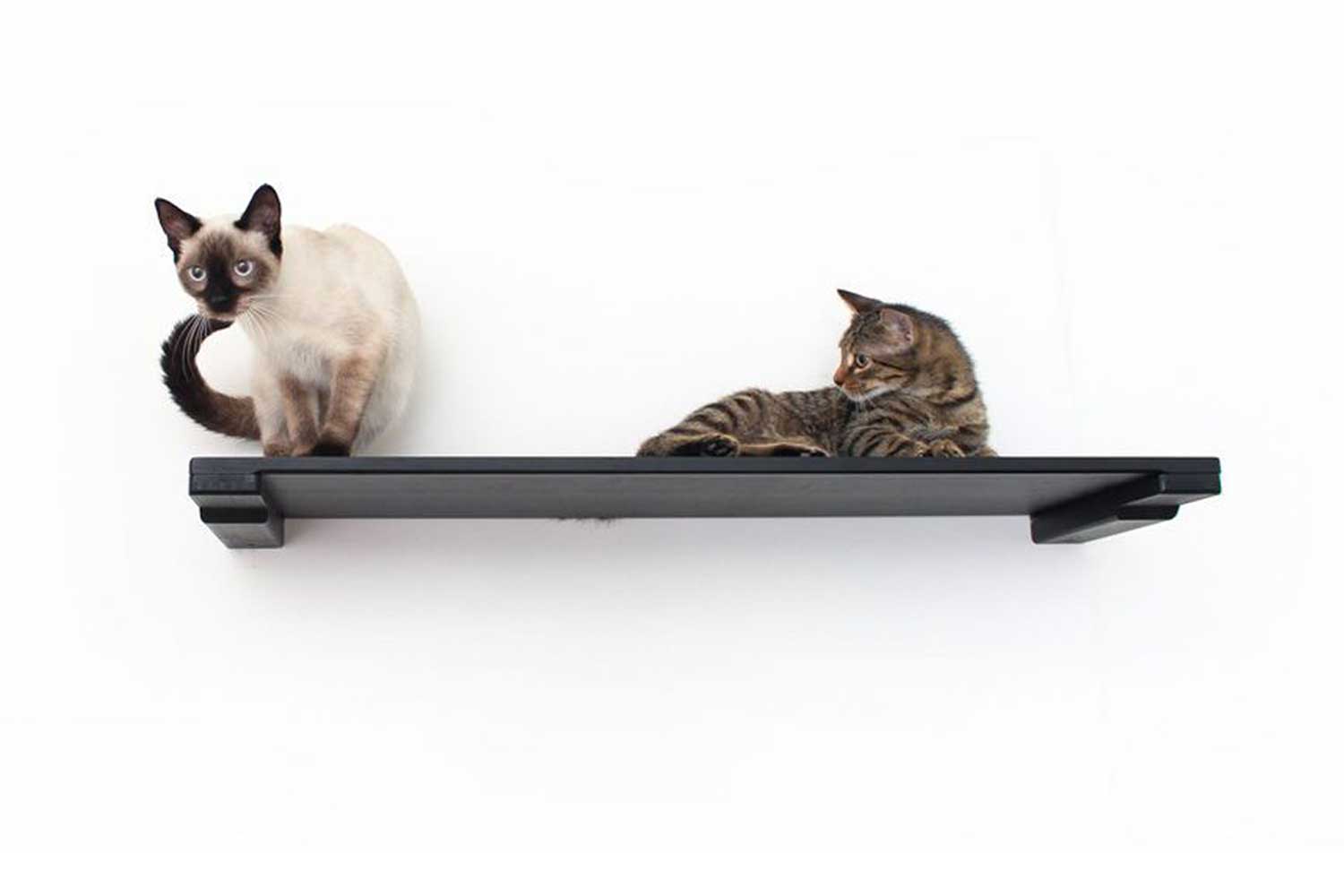 Catastrophic Creations Wall Mounted Cat Shelf