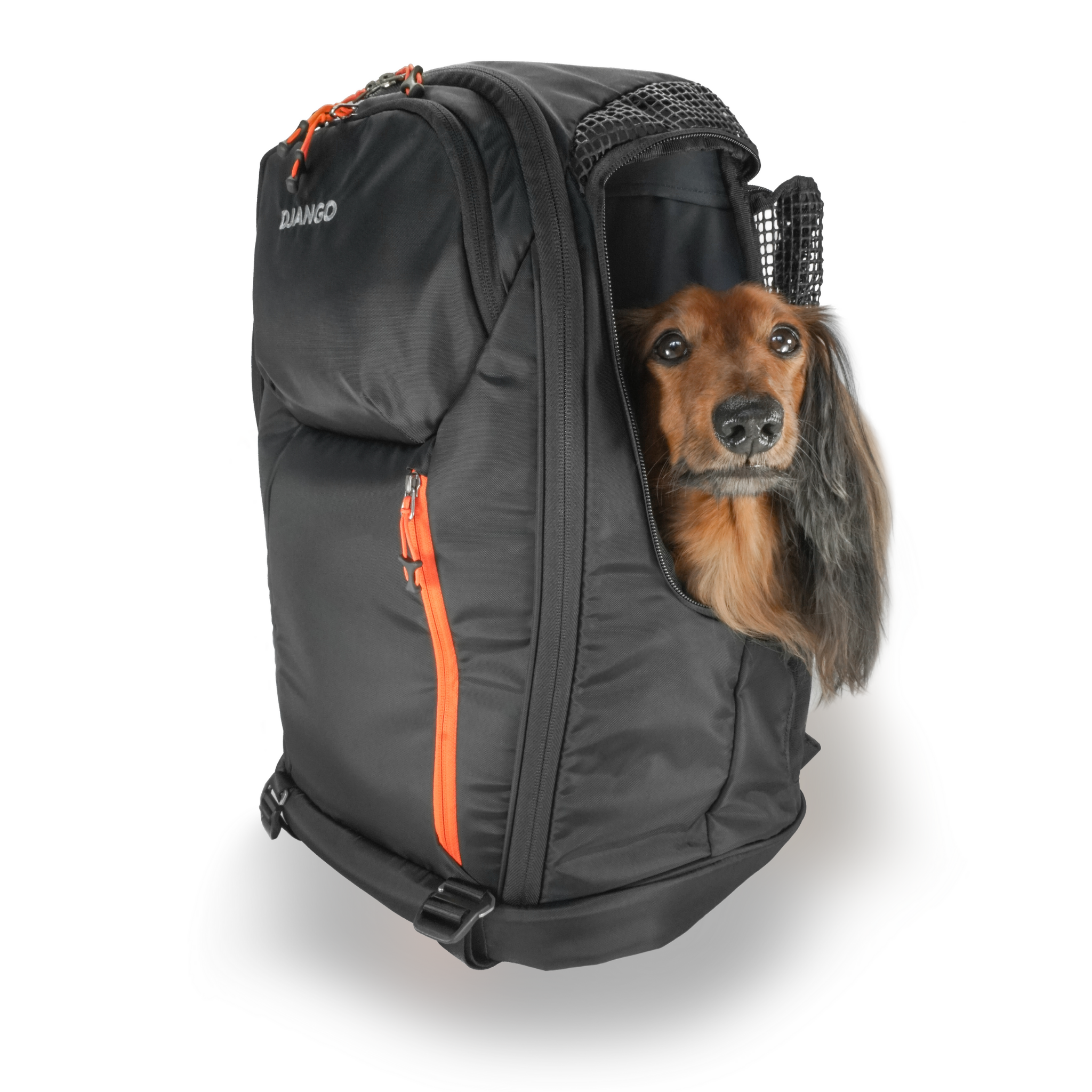 DJANGO - DjangoPack™ Dog Carrier Backpack