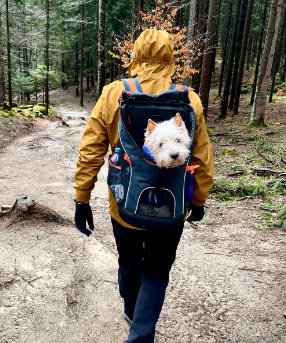 Ibiyaya Ultralight Pro Pet Backpack Carrier, Airline-Approved