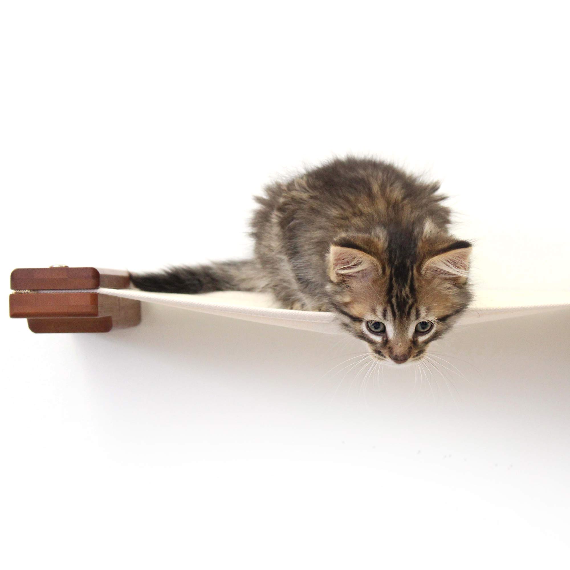 Catastrophic Creations Hanging Cat Bed Hammock