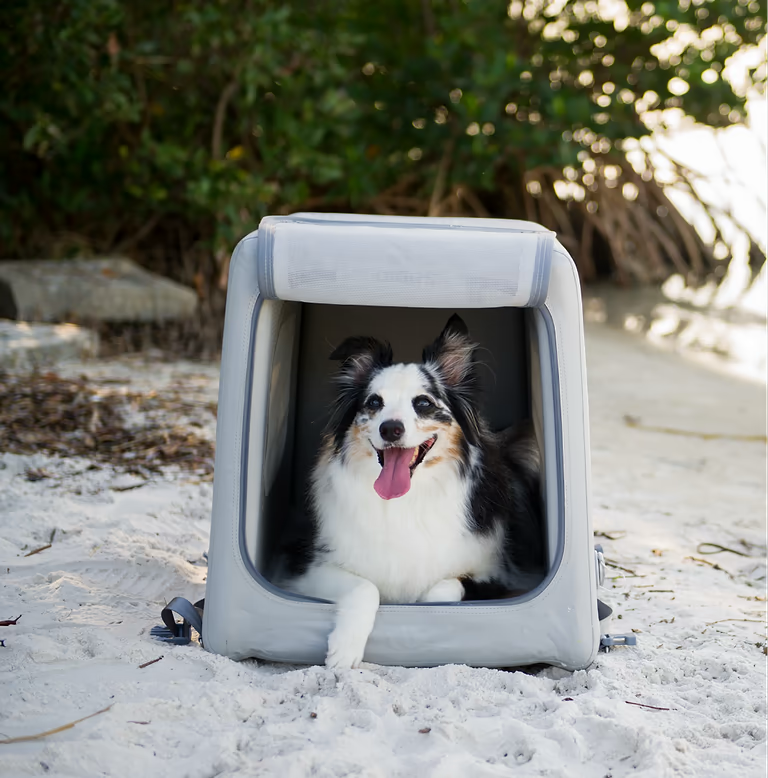 Diggs Enventur Travel Kennel