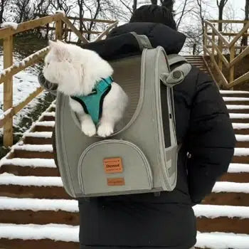 Vt cat backpack best sale
