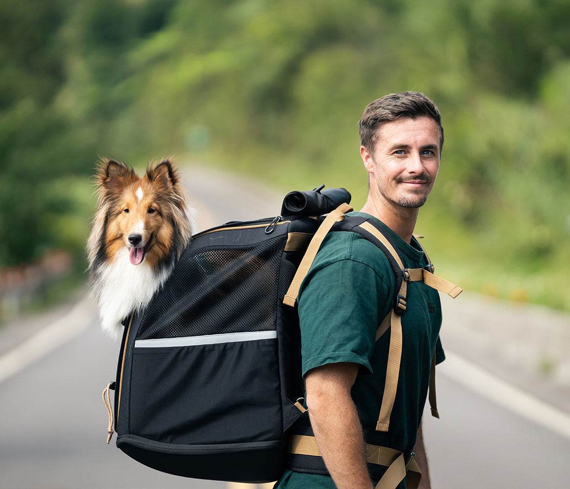 Pet Champion Large Pet Carrier At Paul Gorman Blog Pet Champion Large Pet Carrier At Paul Gorman Blog
