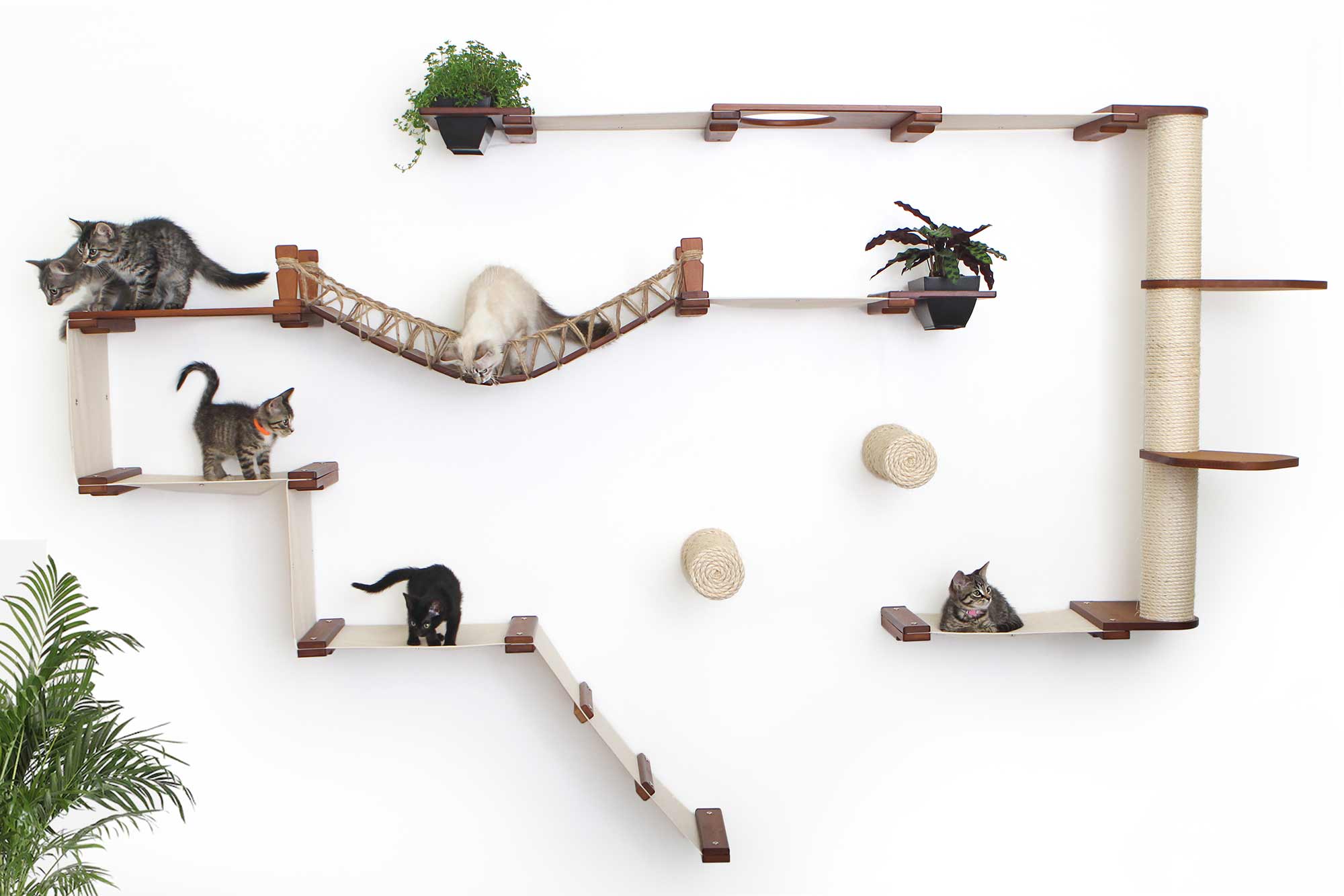 The Juggernaut - Indoor Cat Playground for Wall by Catastrophic Creations