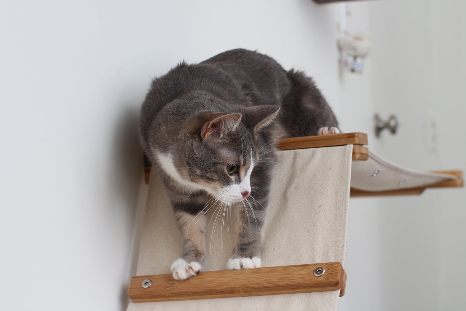 The Lift - Cat Hammock Bed by Catastrophic Creations