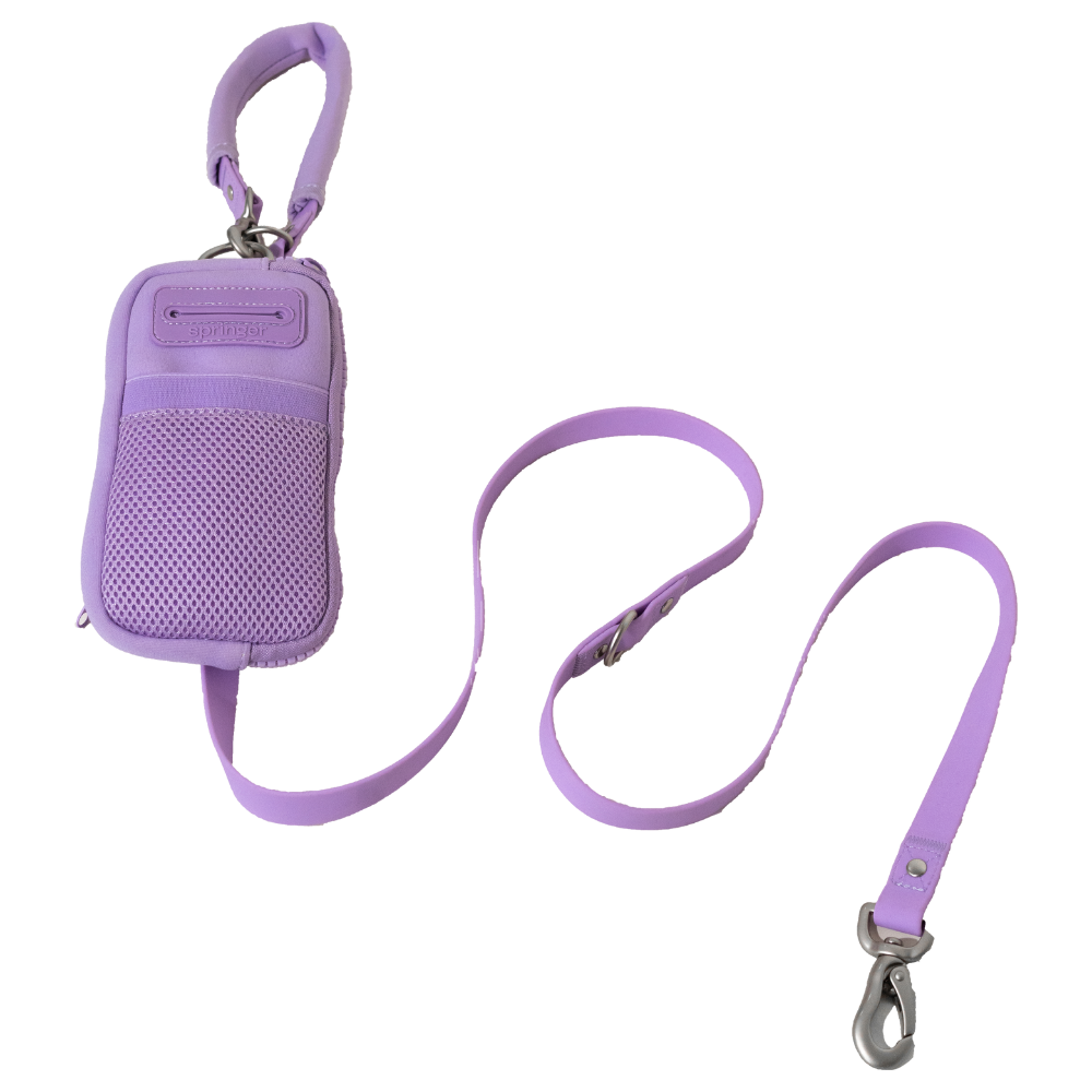 Springer Walk Bag + Small Dog Leash