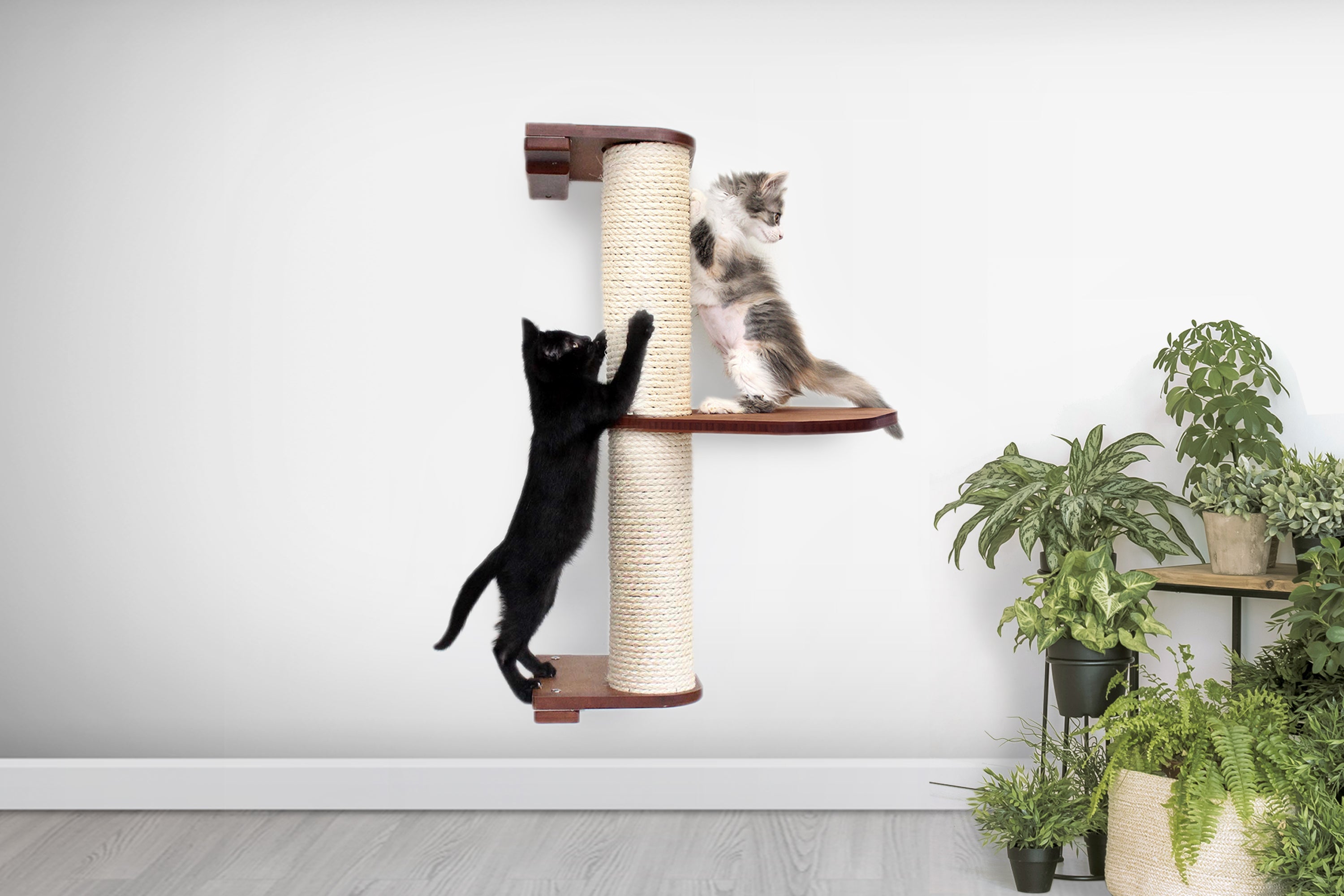 Catastrophic Creations Wall Mounted Cat Climbing Pole - Sisal