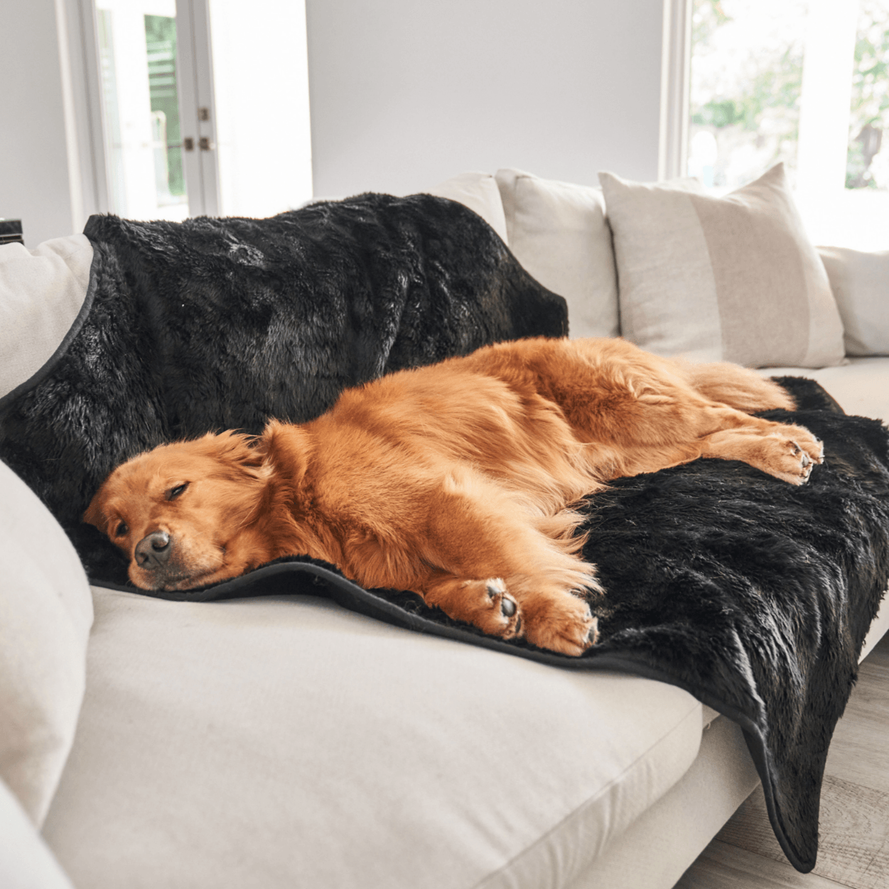 PupProtector™ Short Fur Waterproof Throw Blanket - Midnight Black