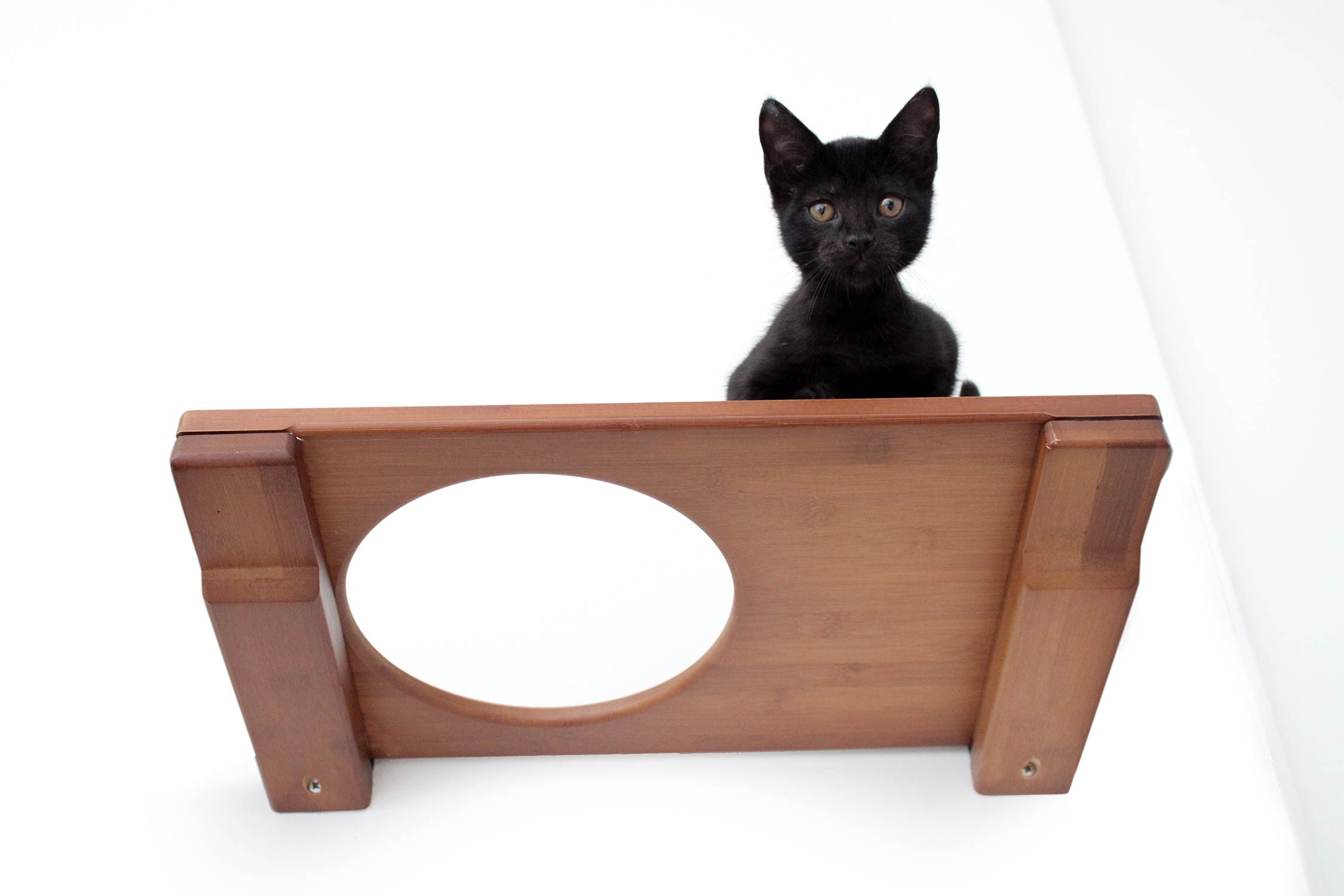 Catastrophic Creations Wall Mounted Cat Shelf