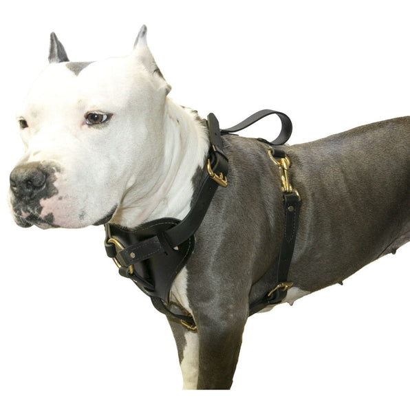 Walking Harnesses – Mr. Peanut's Pet Carriers