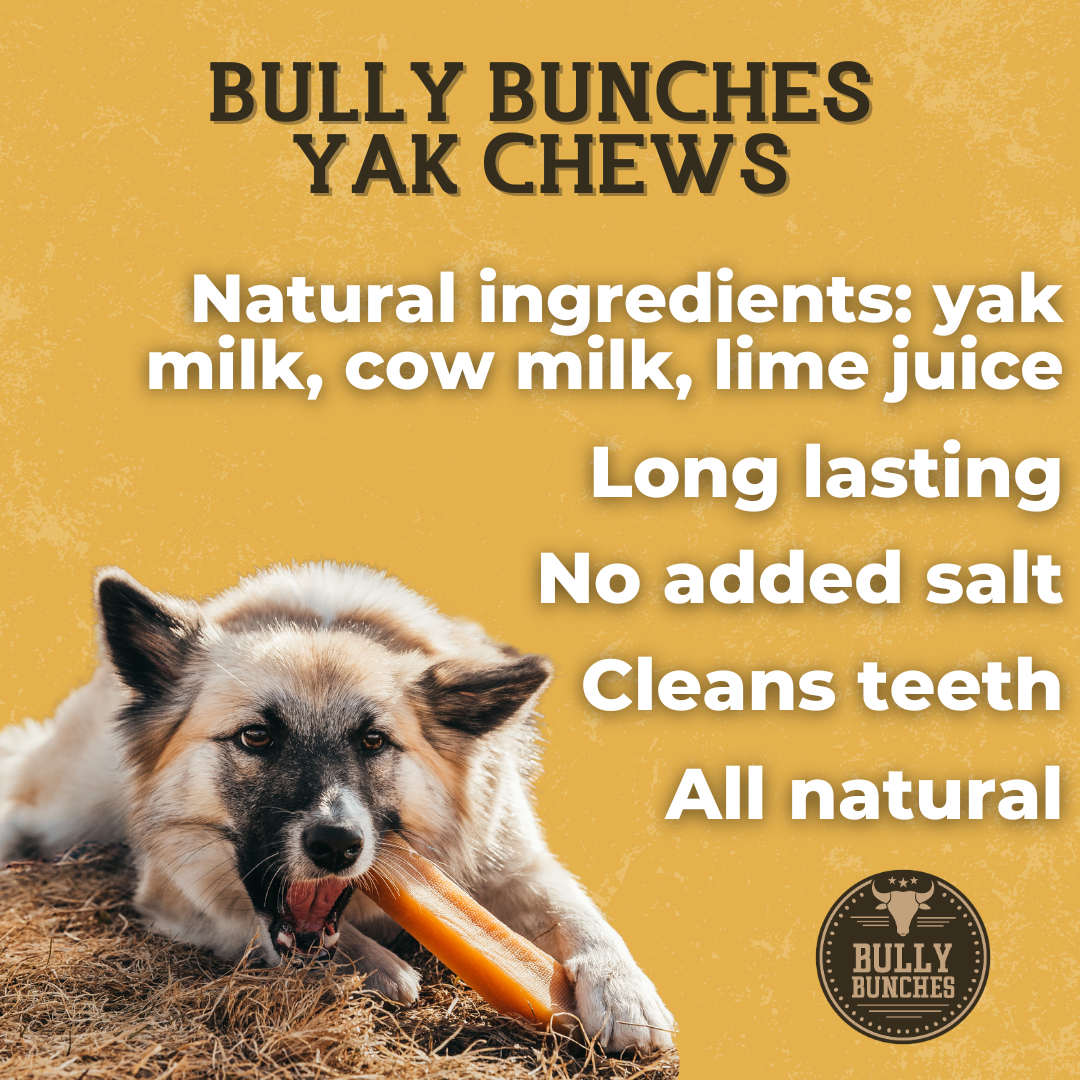 Bully Bunches Blueberry Himalayan Yak Chew (MEDIUM)