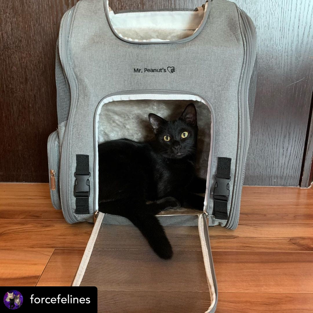 Mr Pet Cat Carrier Backpack