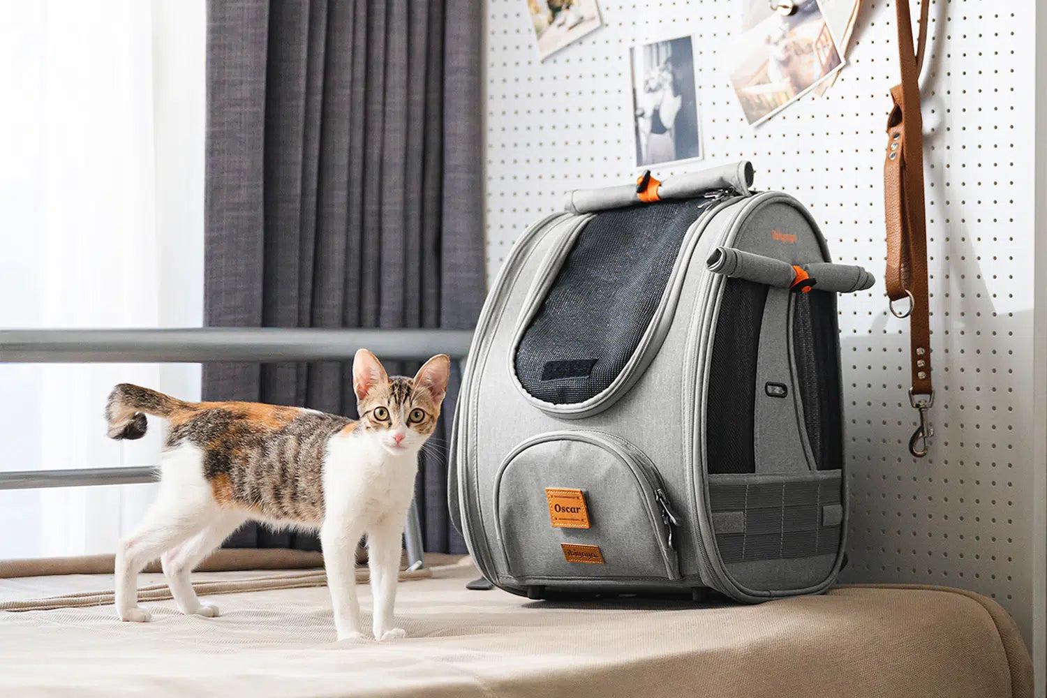 Mr. Pen- Pet Carrier, Cat Carrier, Dog Carrier, Cat Bag Carrier, Cat Travel  Carrier, Soft Cat Carrier, Dog Travel Carrier, Pet Travel Carrier, Dog