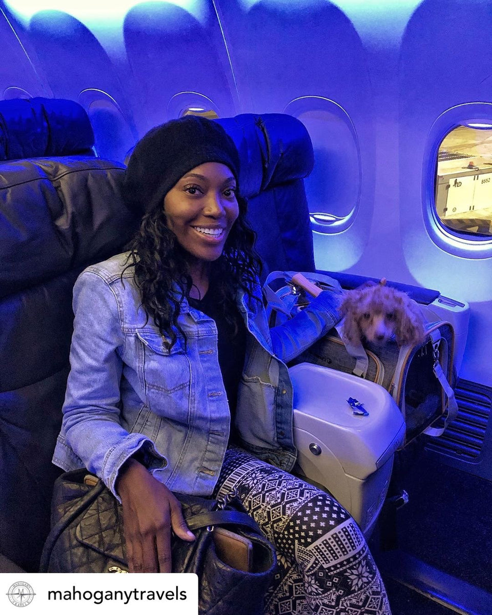 Mr. Peanut's Expandable Travel Pet Carrier Airline Approved Mr